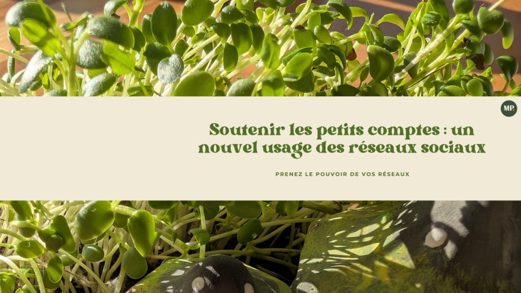 Soutenir les petits comptes : un nouvel usage des réseaux sociaux.