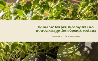 Soutenir les petits comptes : un nouvel usage des réseaux sociaux