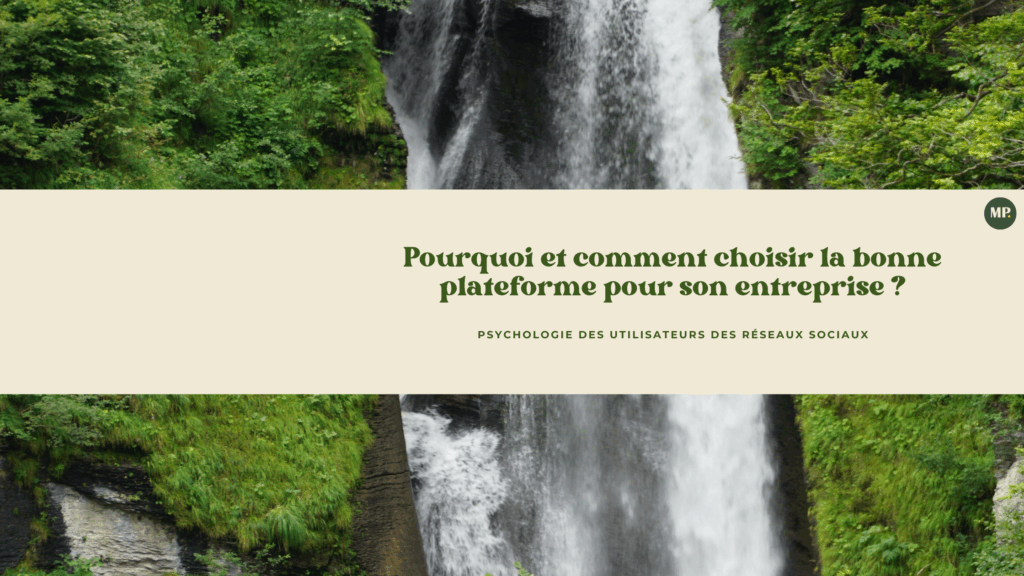 Psychologie des utilisateurs des réseaux sociaux : Pourquoi et comment choisir la bonne plateforme pour son entreprise ?